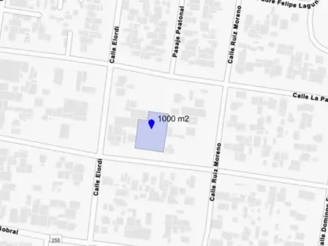 Padre guillermo 1000