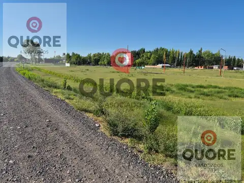 Terreno en Venta 29  mts Fondo
