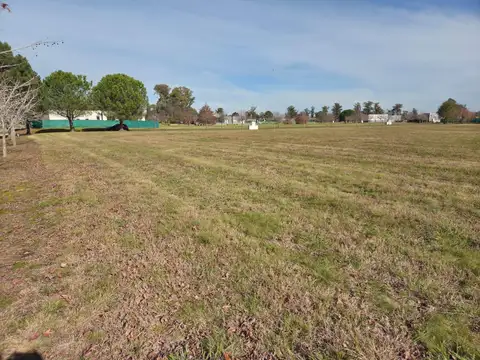 Terreno en Venta 50  mts Frente