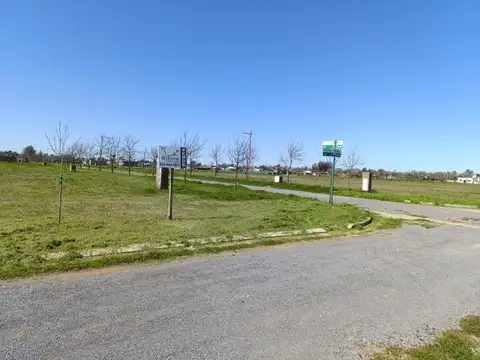 Roberto Fontanarrosa y Ema Walsh , Piso 0