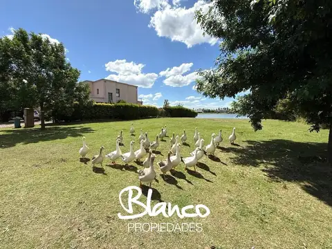 SAN GABRIEL - VILLANUEVA -