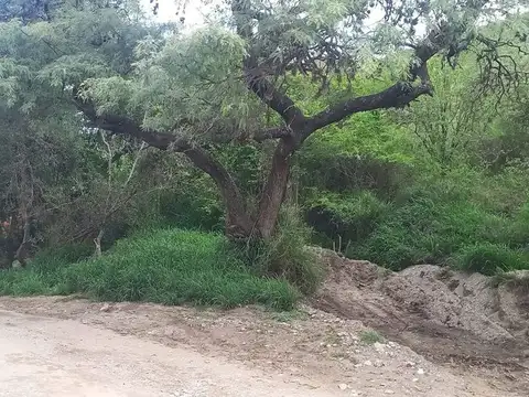 Terreno en Venta de 1269,0 m2