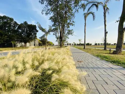 Terreno en Venta de 366,0 m2