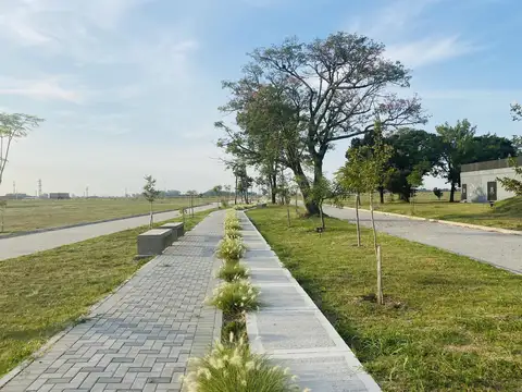 Terreno en Venta 25  mts Fondo