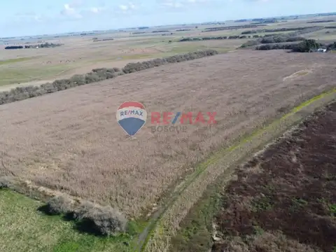 CAMPO VENTA 32 HECTAREAS EN GENERAL MADARIAGA
