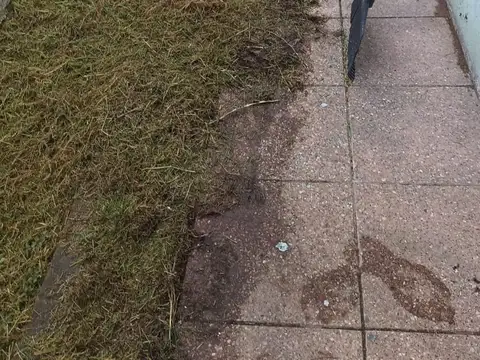 Departamento en Alquiler Apto profesional