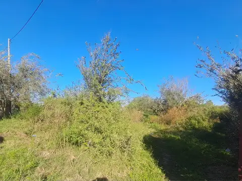 Hermoso terreno de 880m2. Villa del Prado.