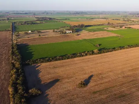 Venta Chacra 21 ha en San Pedro, Colonia, Uruguay