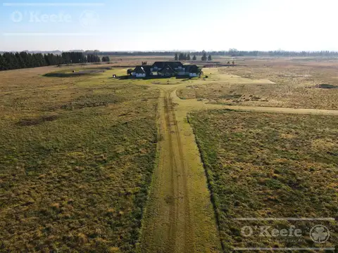 Campo en venta 1030 has sobre Autovia 2. Apto club de campo