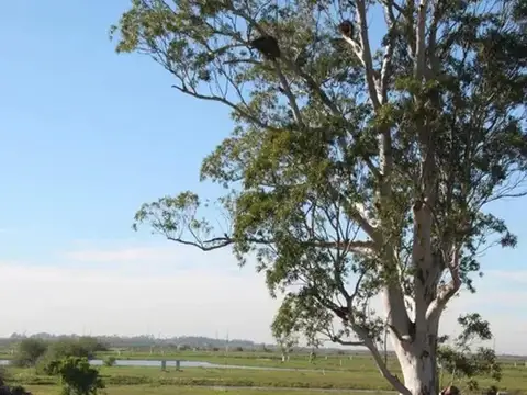 Terreno en Venta en Pueblos Del Plata - Sebastián Gaboto, USD 170.000