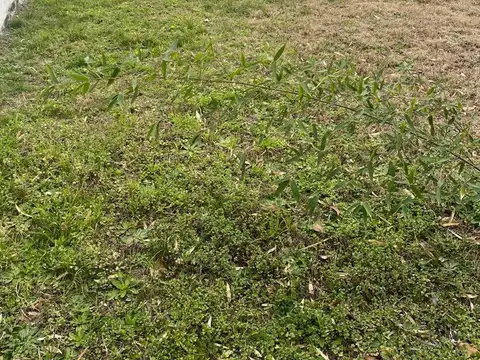 TERRENO CON PILETA EN COSQUIN