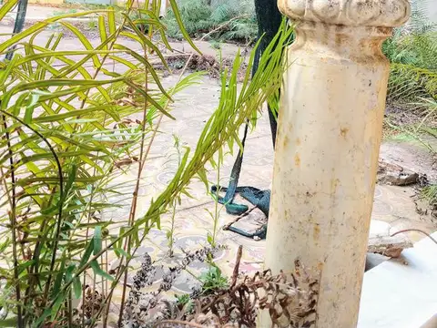 Casa 9 ambientes con 2 baños