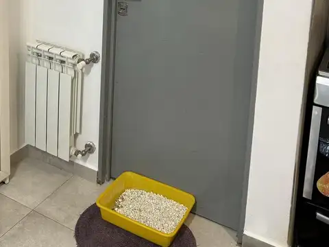 Depto Tipo Casa en Alquiler de 2 dormitorios