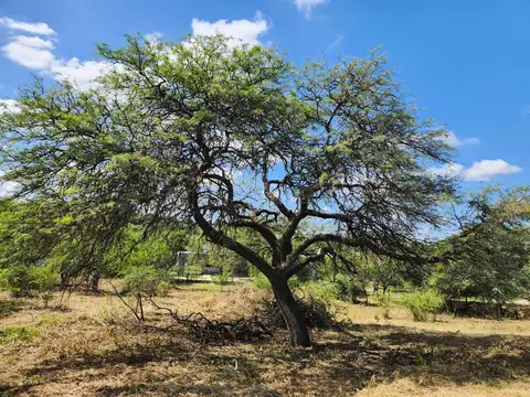 Lote en Venta – Barrio cerrado sobre calle Consolación – 1010 m² – Fondo Norte – Mendiolaza Golf