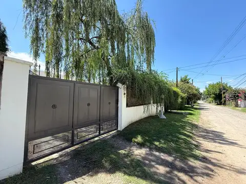 Jacaranda al 300