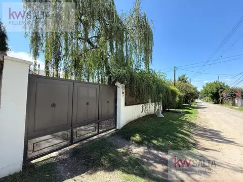 Jacaranda al 300