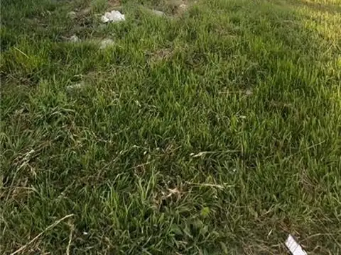 Terreno en Venta en Miramar, USD 600.000