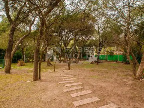 Country El Bosque