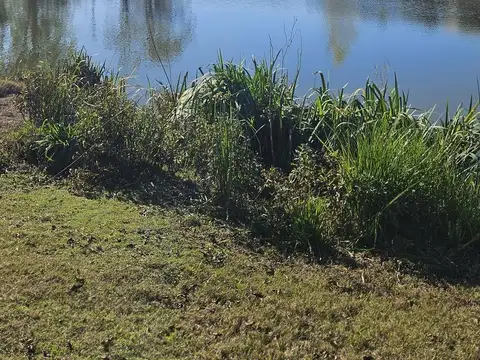 Terreno en Venta en El Cantón - Barrio Islas, USD 79.900