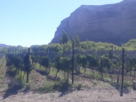 Propiedad en Los Altares