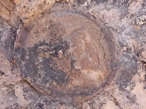 Campo en Venta Mixto