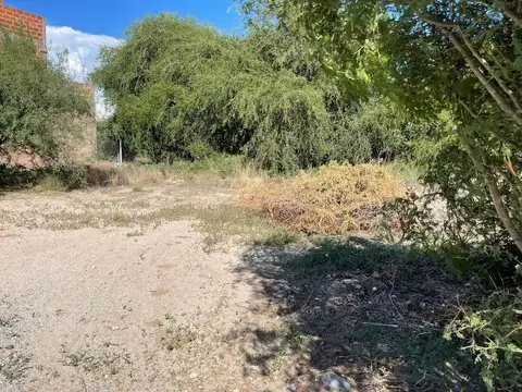 Cafayate. Wine Village. Lote 100