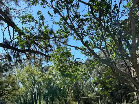 Quinta en Venta 45 años