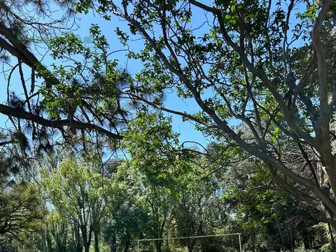 Quinta en Venta en Trenque Lauquen, USD 200.000