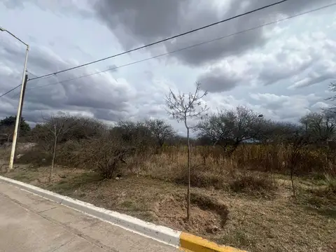 Terreno en Venta de 308,0 m2