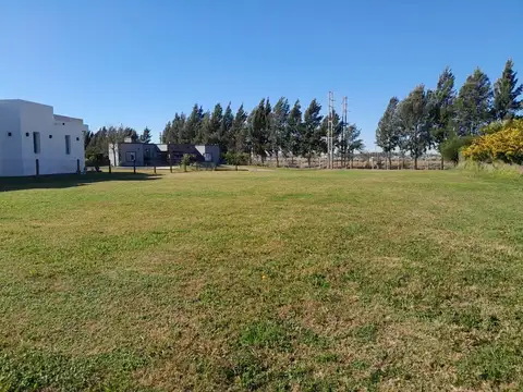 Terreno en Venta de 800,0 m2