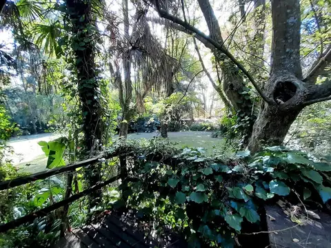 Rio / Arroyo Carapachay Villa Isabel 300