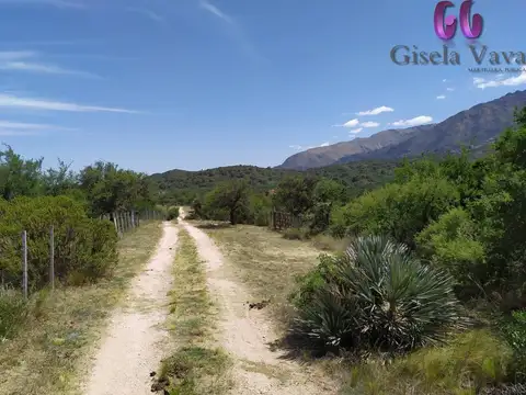 SAN MIGUEL - CORTADERAS