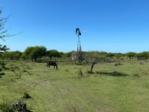 Campo en Venta de 150  ha