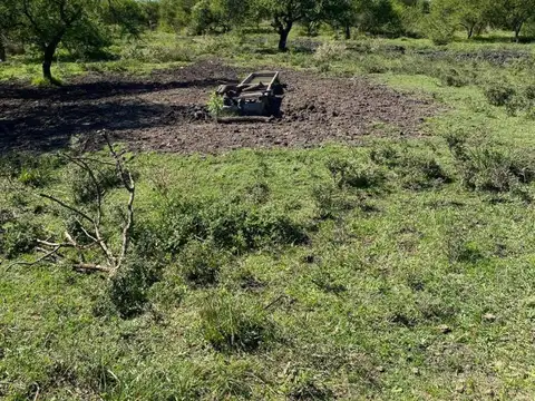 Campo en Venta Agrícola