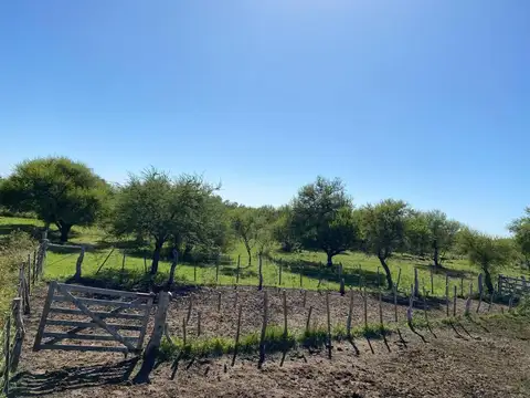 Chañar; Entre Ríos