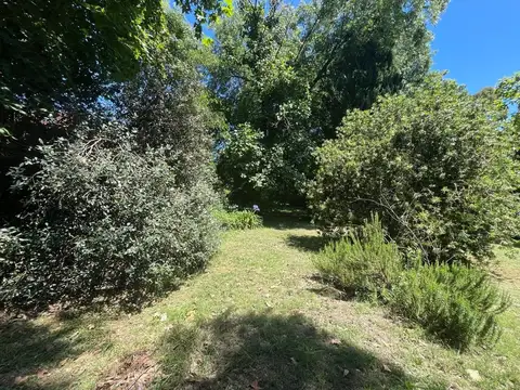 QUINTA 2 TERRENOS ARBOLADOS SAN IGNACIO SAN MIGUEL