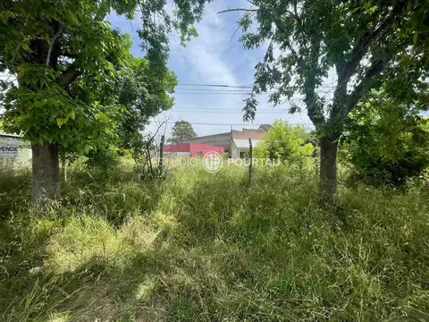 Terreno - Venta - Argentina, Brandsen