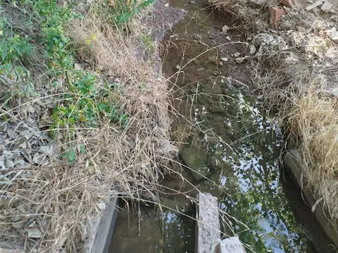 Venta Finca/Chacra con Gran Bodega Medrano Junín