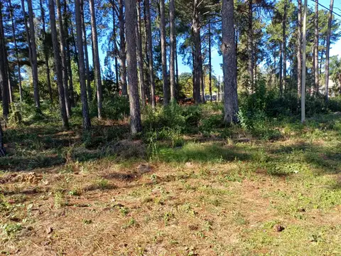 Terreno en Venta 20  mts Frente