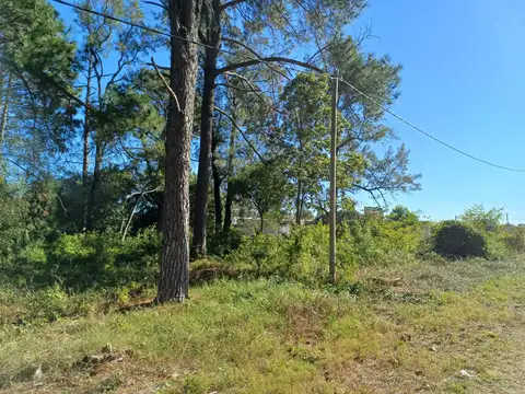 Terreno en Venta en Cayasta, USD 11.000