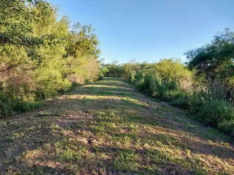 Complejo Alto Pecán