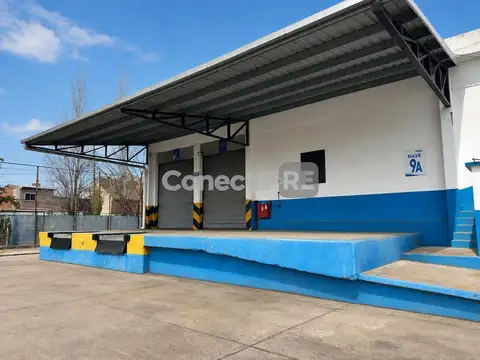 Ocampo al 1100