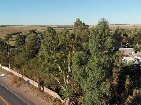 Terreno en Venta en Villa General Arias, USD 15.500