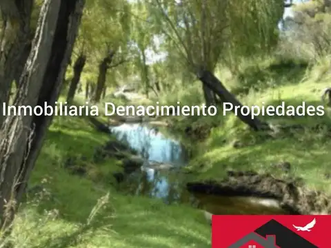 Cañada Larga S/n