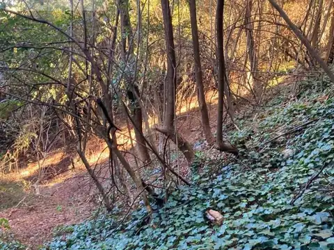 Venta de Terreno en La Cumbrecita - Cordoba