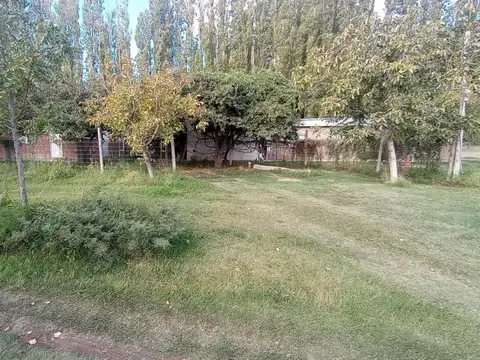 Futaleufu e/ Esquel y Viedma