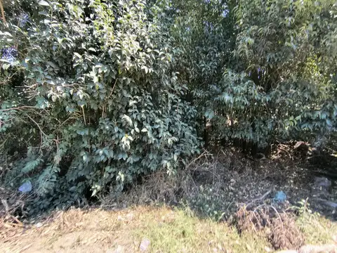 Terreno en Venta en Villa Catalina, USD 19.900