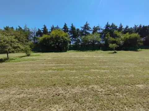 Terreno en Venta de 360,0 m2