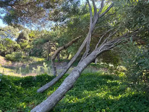 Terreno en Venta 47  mts Fondo