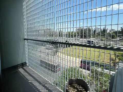 Bernardo De Irigoyen 1428